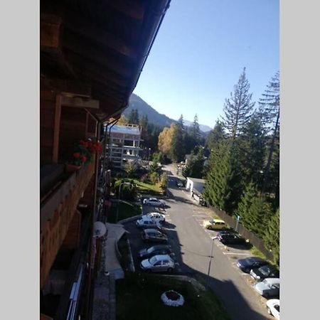 Large Vacation Apartment In Пояна-Брашов Экстерьер фото